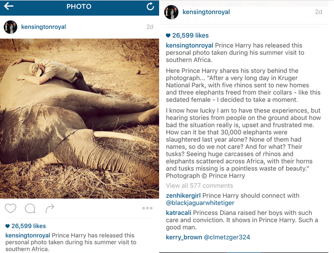 Prince Harry via the @KensingtonRoyal Instagram Stream